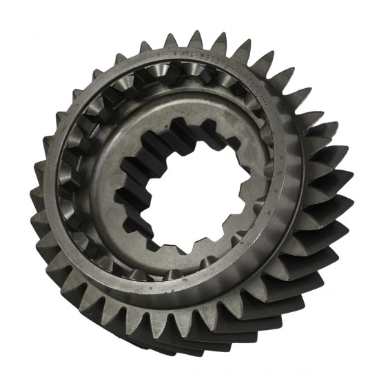 Engrenagem Motriz - 1010089