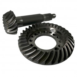 Coroa e Pinhão 0095.253.041