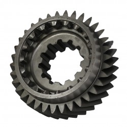 Engrenagem Motriz - 1010089